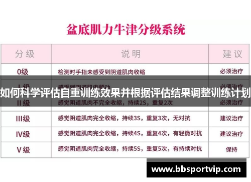 如何科学评估自重训练效果并根据评估结果调整训练计划