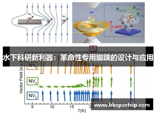 水下科研新利器：革命性专用脚蹼的设计与应用